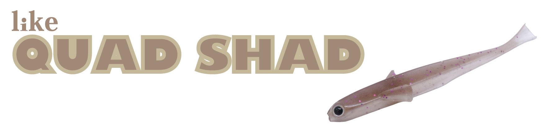 QUAD SHAD | ENGINE